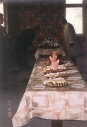 graphics/photo11t.jpg
