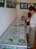 graphics/t_dsc01089.jpg