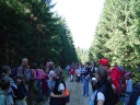 graphics/t_dsc01302.jpg