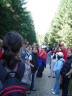 graphics/t_dsc01303.jpg