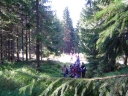 graphics/t_dsc01311.jpg