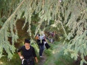 graphics/t_dsc01315.jpg