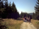 graphics/t_dsc01325.jpg