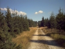 graphics/t_dsc01333.jpg