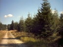 graphics/t_dsc01334.jpg