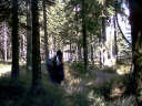 graphics/t_dsc01343.jpg