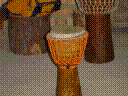graphics/t_dsc1146.gif