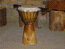 graphics/t_dsc1147.gif